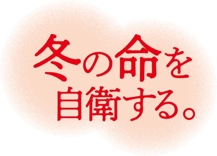 冬の命を自衛する