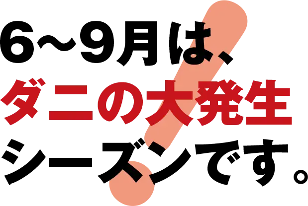 8時だよ 通販生活 ダニ捕りマット これが元祖だ 公式 カタログハウスの通販サイト