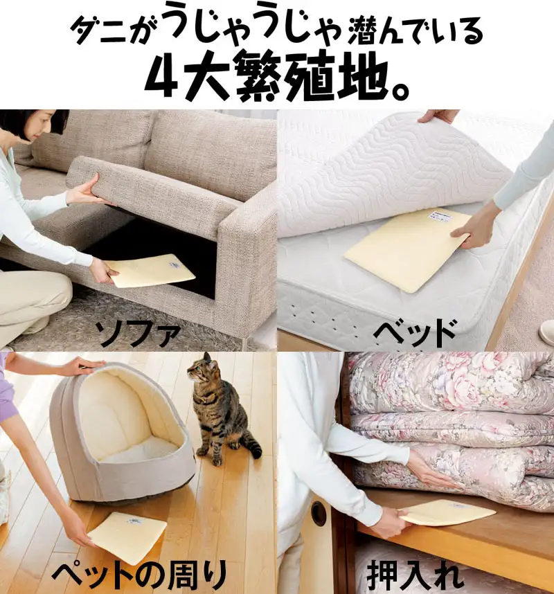 通販生活®ダニ捕りマット「これが元祖だ」｜【公式】カタログハウスの 