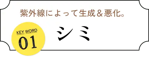紫外線によって生成＆悪化。KEY WORD01  シミ