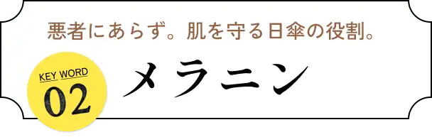 悪者にあらず。肌を守る日傘の役割。 KEY WORD02 メラニン