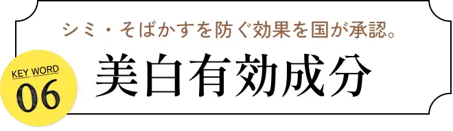 シミ・そばかすを防ぐ効果を国が承認。 KEY WORD06 美白有効成分 