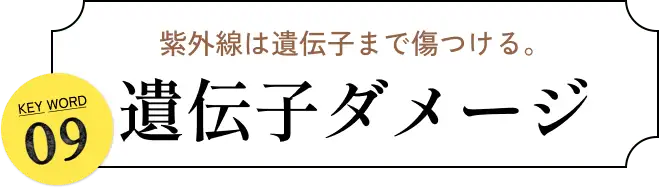 紫外線は遺伝子まで傷つける。 KEYWORD 09 遺伝子ダメージ