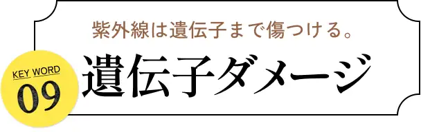 紫外線は遺伝子まで傷つける。 KEYWORD 09 遺伝子ダメージ