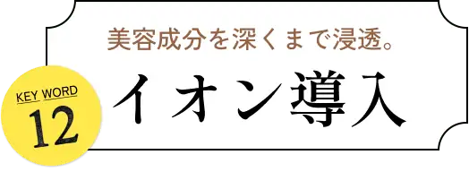 美容成分を深くまで浸透。 KEYWORD 12 イオン導入