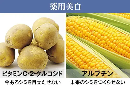 薬用美白(いまあるシミを目立たせない・未来のシミをつくらせない)
