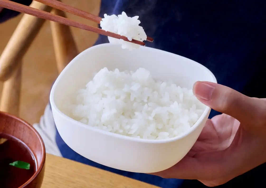 画像：冷凍ご飯保存容器（6個組）