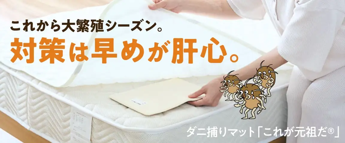 画像：ダニ捕りマット