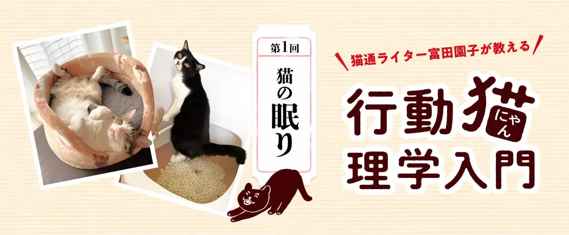 画像：行動猫理学入門