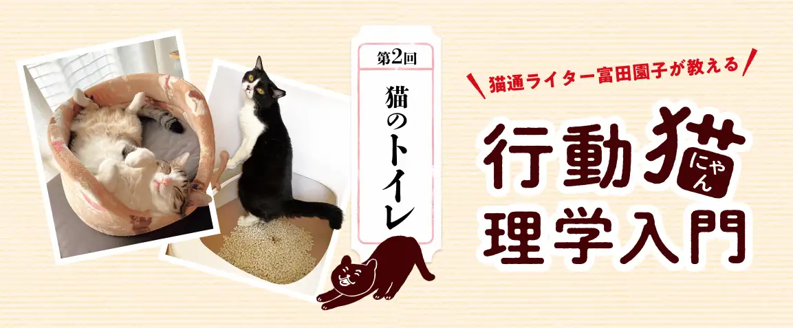 目でみるマスコミとくらし百科（全５巻セット）   /日本図書センタ-（大型本） 小説 秒速5センチメートル (角川文庫): 9784041026168: Amazon