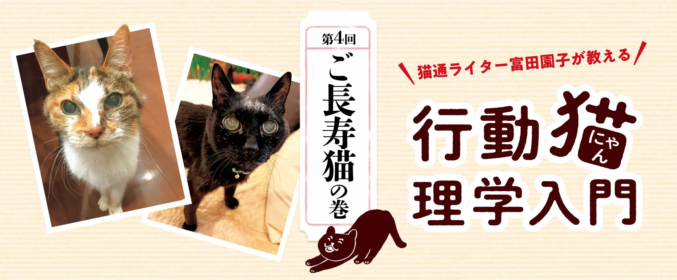 画像：行動猫理学入門