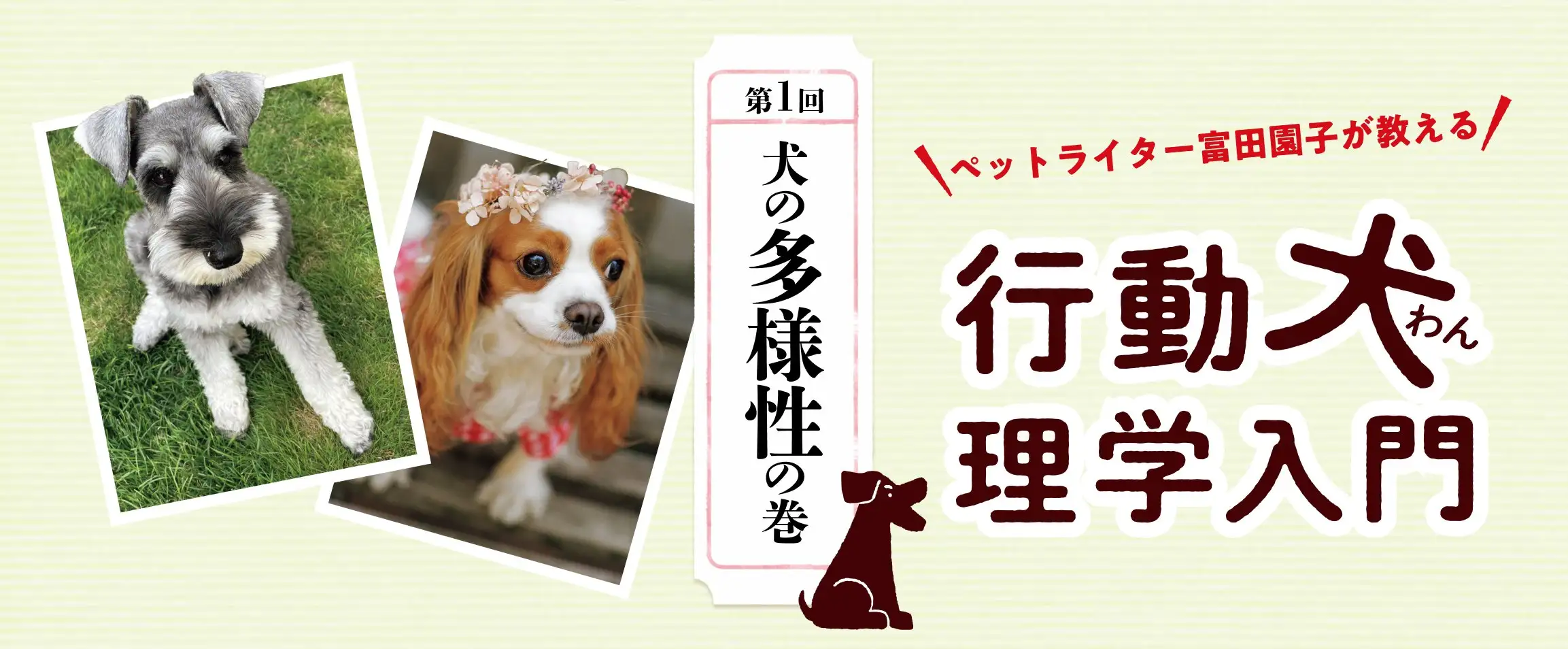 画像：行動犬理学入門