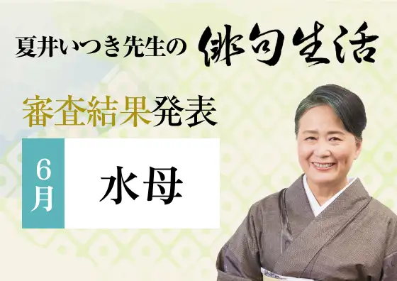 画像：夏井いつき先生の俳句生活～よ句もわる句も～