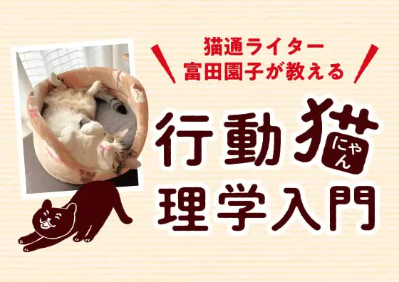 画像：行動猫理学入門