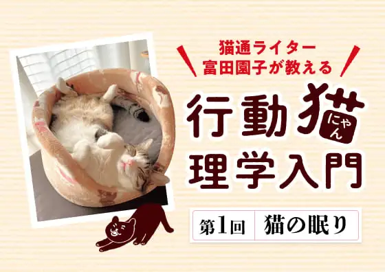 画像：行動猫理学入門