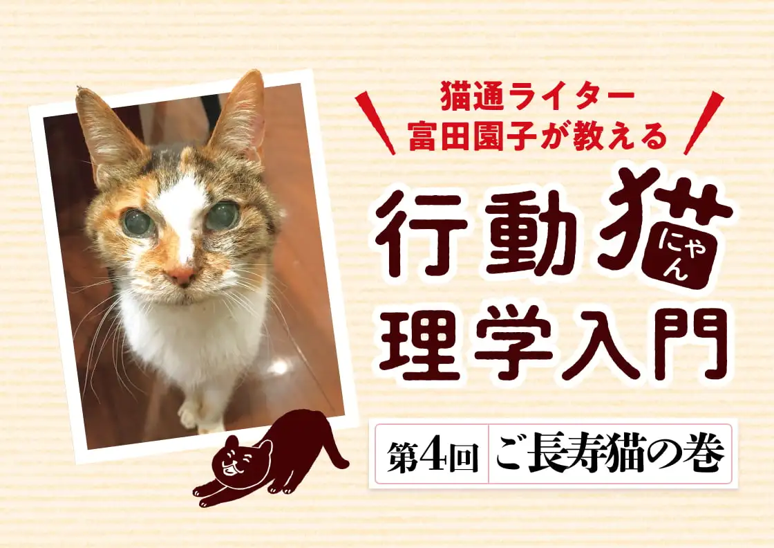 画像：行動猫理学入門