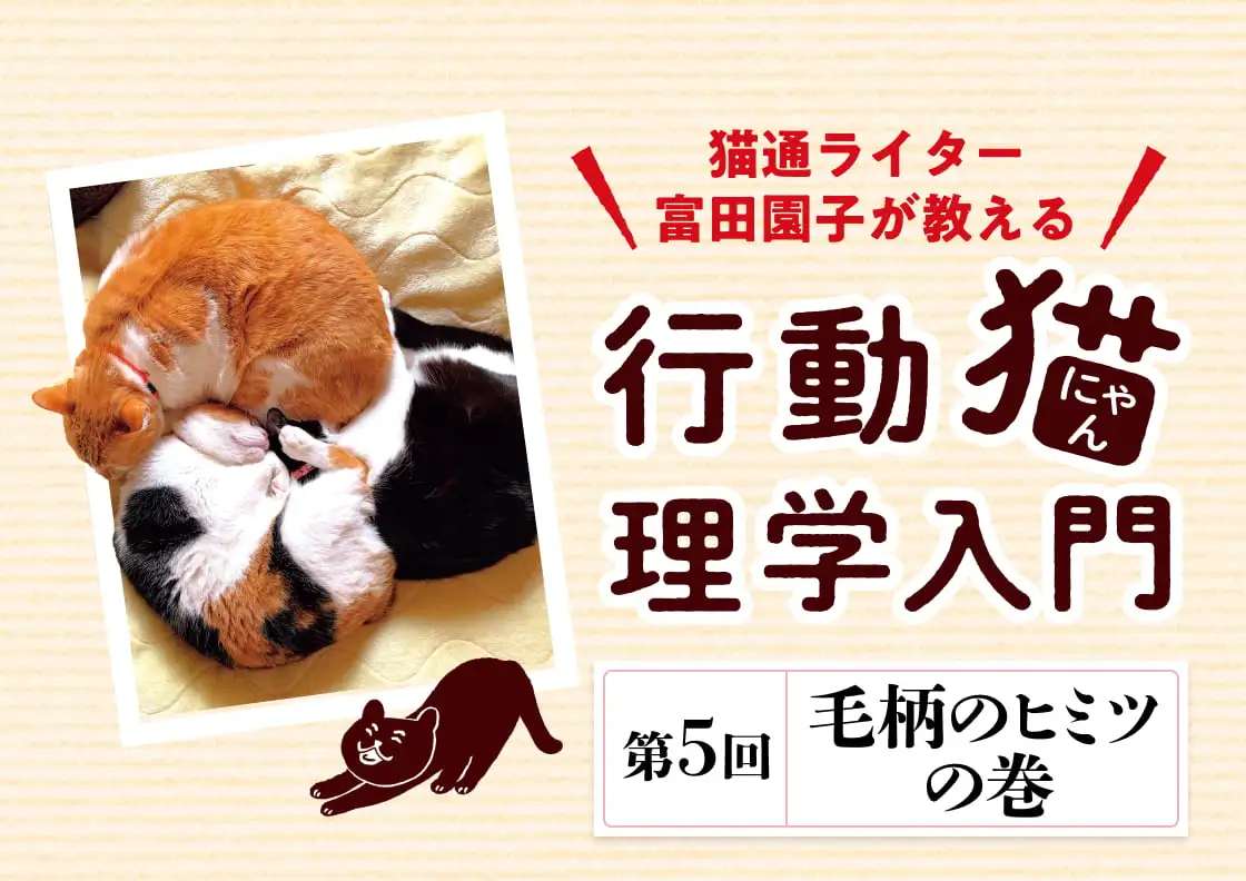 画像：行動猫理学入門