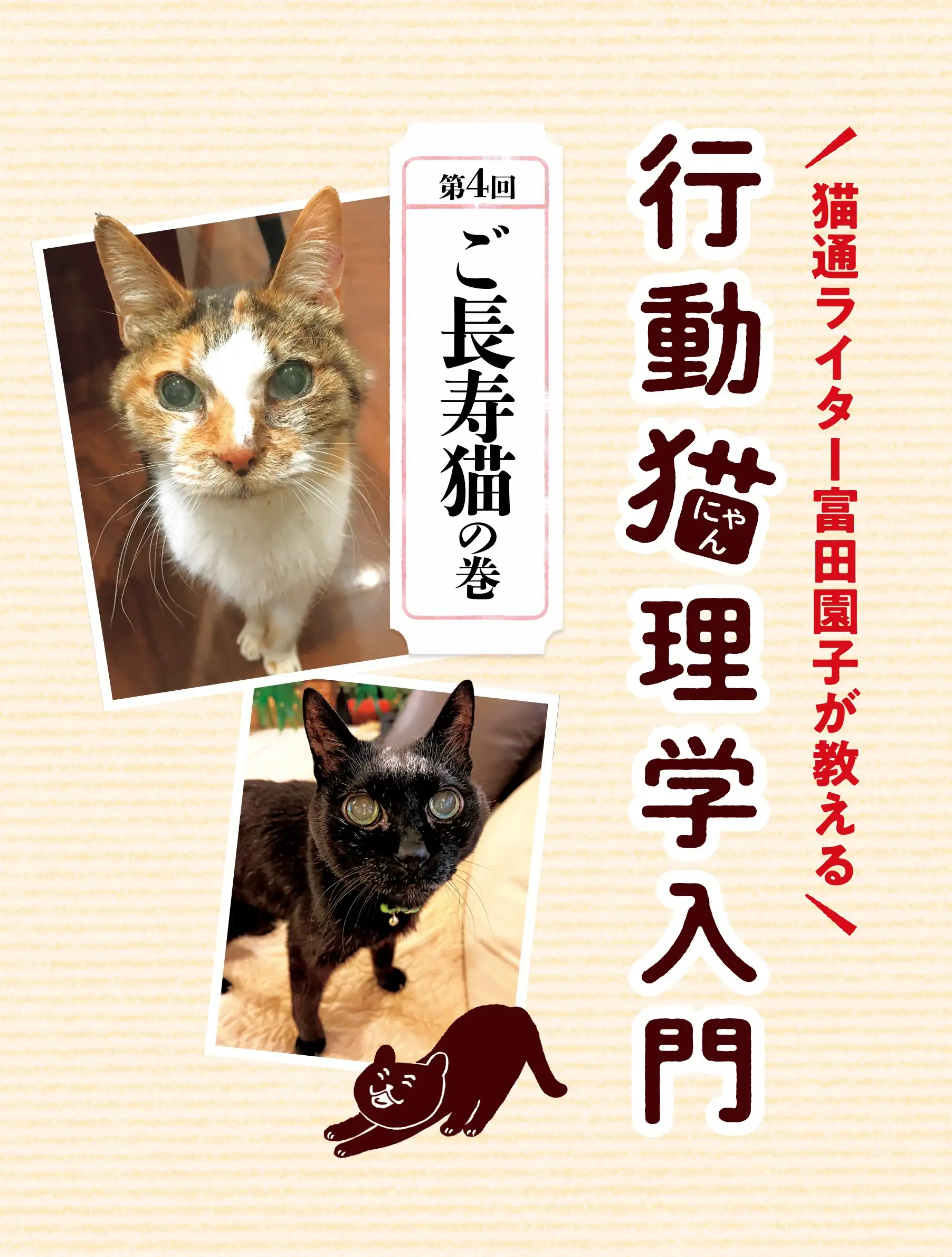 行動猫理学入門