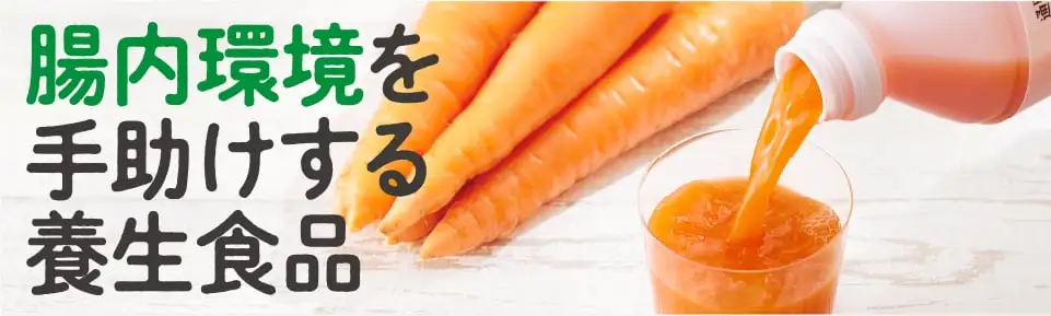 腸内環境を手助けする養生食品
