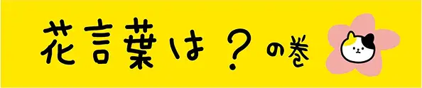 花言葉は？の巻