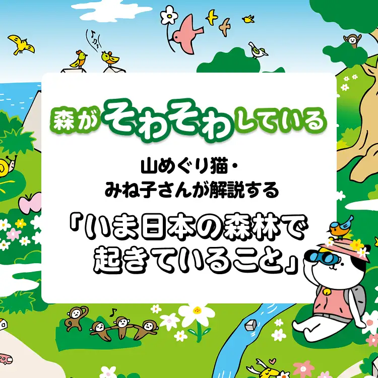 森がそわそわしている 山めぐり猫・みね子さんが解説する 「いま日本の森林で起きていること」