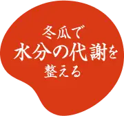 冬瓜で水分の代謝を整える
