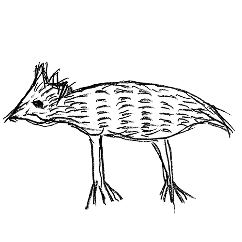 にわとり14作品目