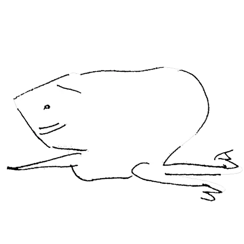 カエル8作品目