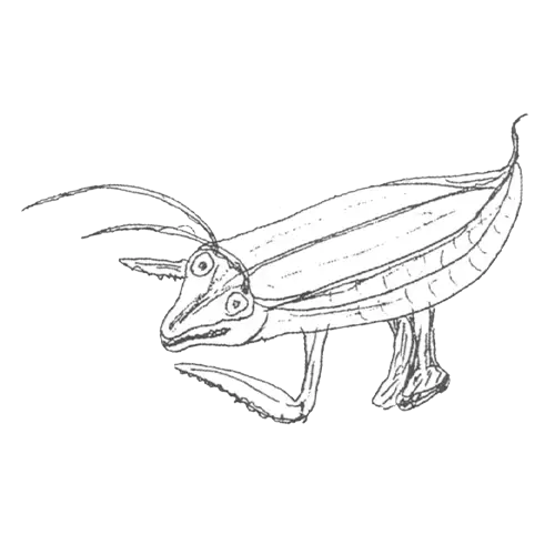 カマキリ2作品目