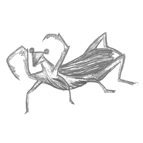 カマキリ3作品目
