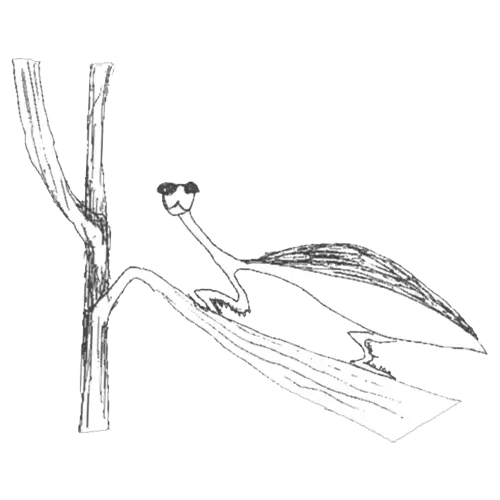 カマキリ10作品目
