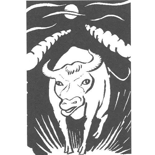 牛8作品目