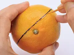 下描きを目安に、皮に絵を描くようにして少しずつ切り込み線を入れる。イメージ