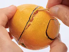 ②で入れた線に竹ぐしの後ろを差し込み、竹ぐしとみかんをまわしながら皮と実をメリメリと切り離す。 イメージ