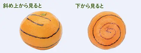 下描きのように渦巻き状に切り込み線を入れていく。イメージ