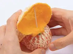 後ろから見たところ。頭部が不安定な場合はつまようじ2本で支えても。イメージ