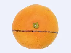 下描きのようにぐるりと一周切り込み線を入れ、写真の下部分の皮をはがす。イメージ