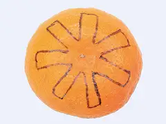 下描きのようにみかんの下側に切り込み線を入れてはがす。はがした皮は裏返す。イメージ