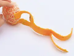 実を返したところ。足を前後に開くと動きが出る。イメージ