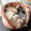 第1回「猫の眠り」 イメージ