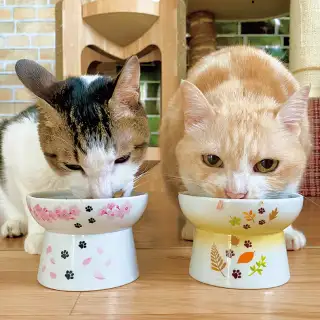第3回「猫のごはん」 イメージ