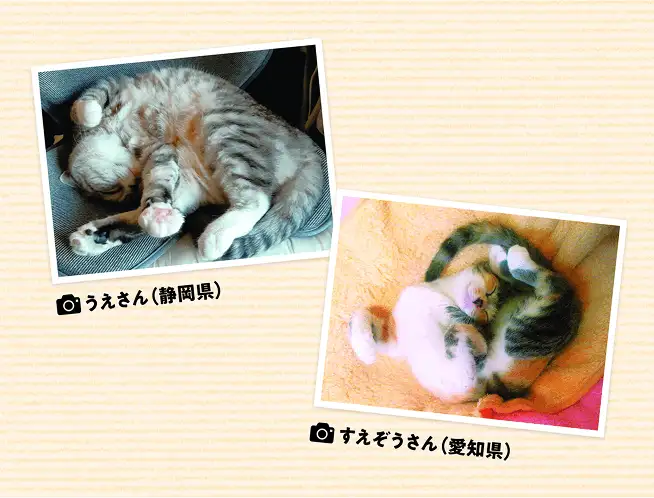 変な姿勢で寝ていて寝ちがえないのか不思議です イメージ