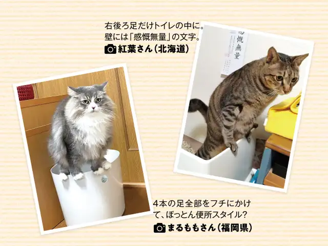 フチに足をかけて不安定な姿勢で排泄するのはなぜ？ イメージ