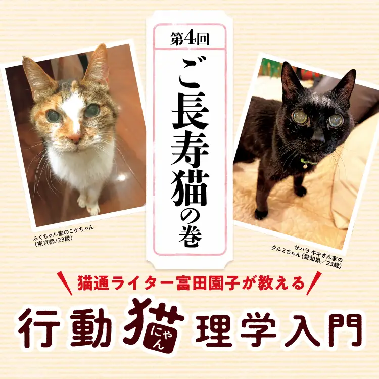 猫通ライター富田園子が教える 行動猫理学入門 第4回「ご長寿猫」