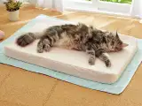 専用のマットに寝かせる
