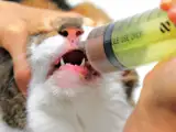 食事の介助