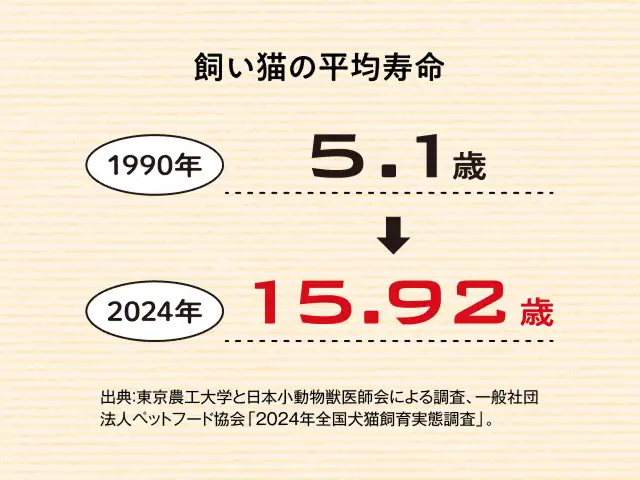 うちの猫はまだ2歳。猫の平均寿命はどれくらいなの？ イメージ2