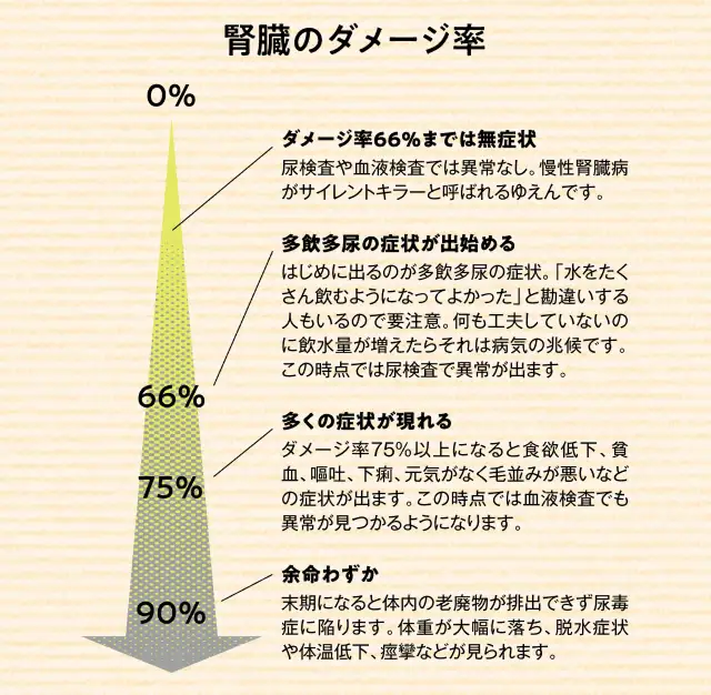 高齢猫に多い慢性腎臓病ってどんな病気なの？ イメージ