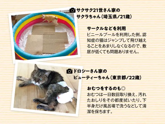認知症の猫がぐるぐる歩き続け、排泄もあちこちでしてしまいます。 イメージ