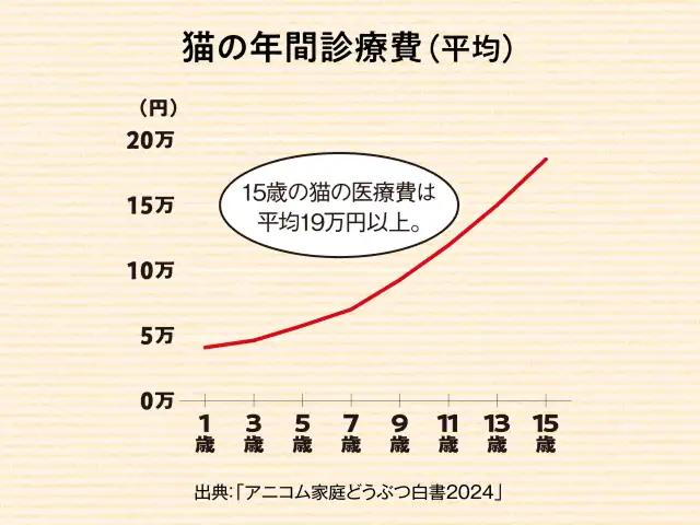 猫の治療費が高額でやりくりが大変です…。 イメージ